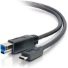 Cordon USB C2G88867 | 3m | USB 3.0 Type C to Standard B