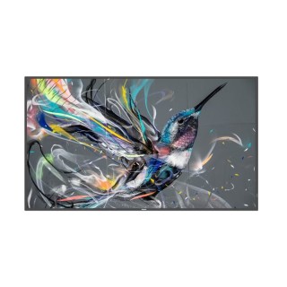 Écran professionnel Philips 55BDL3511Q00 | 55" IPS | UHD 18/7 