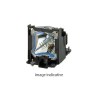 Prod508 Optoma