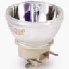Prod509 Optoma