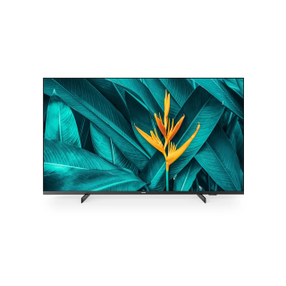 Écran Philips 55HFL5214U/12 | UHD | sans bord