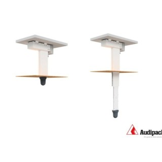 Télécommande Audipack AUD-P210129 | ergonomique | compacte - AUD-P210129 - Audipack