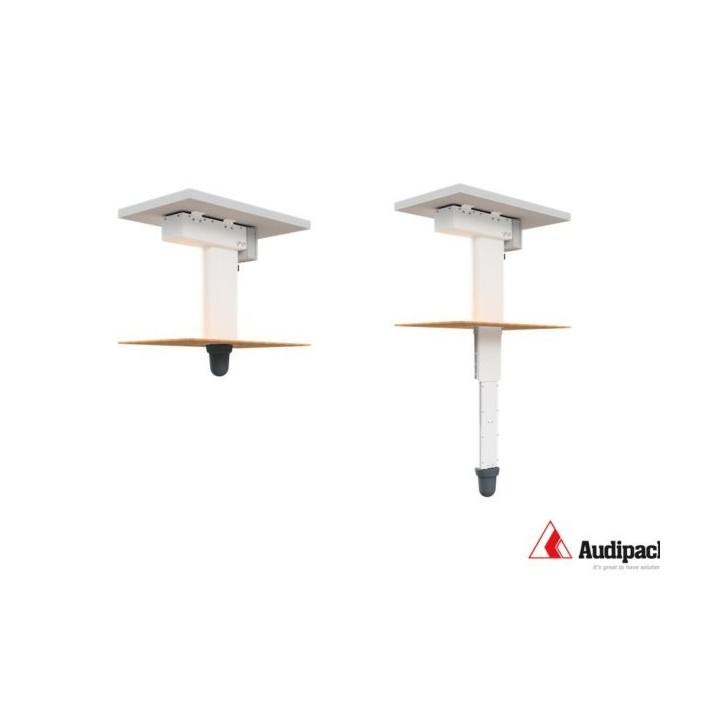 Télécommande Audipack AUD-P210129 | ergonomique | compacte - AUD-P210129 - Audipack