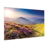 Projecta - Ecran FullVision 163x260 Blanc mat Projecta