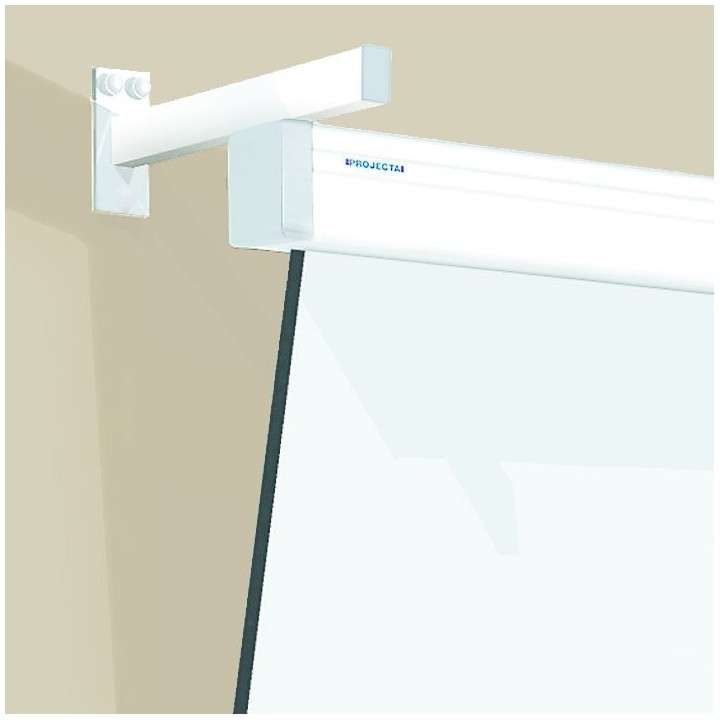 Projecta - Accessoire de montage : Kit d'extension 10 cm. Projecta
