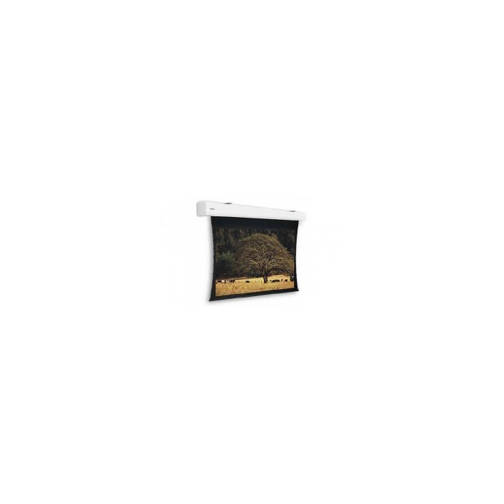 Projecta - Ecran tensionné Elpro 244x390HD Progressif 0,9 Projecta
