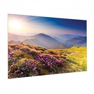 Projecta - Ecran FullVision 138x220 Blanc mat Projecta