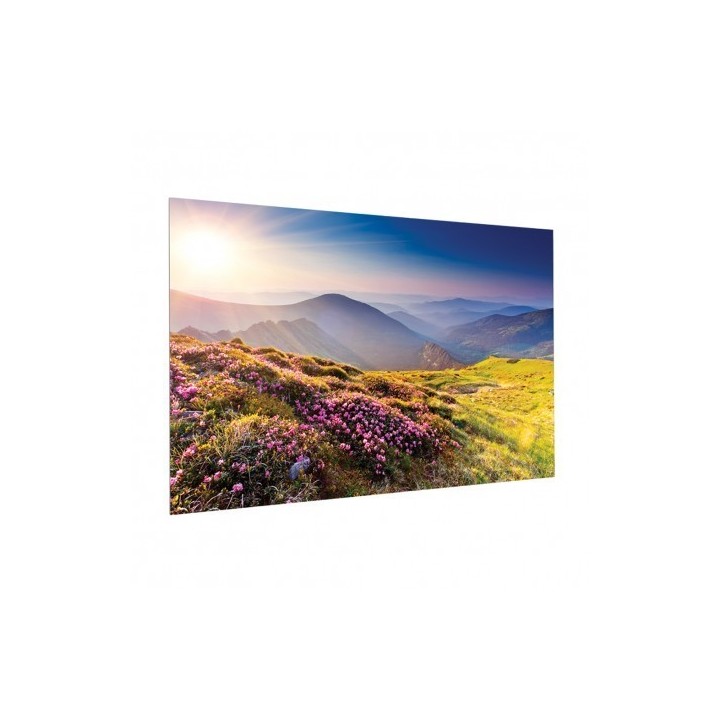 Projecta - Ecran FullVision 138x220 Blanc mat Projecta