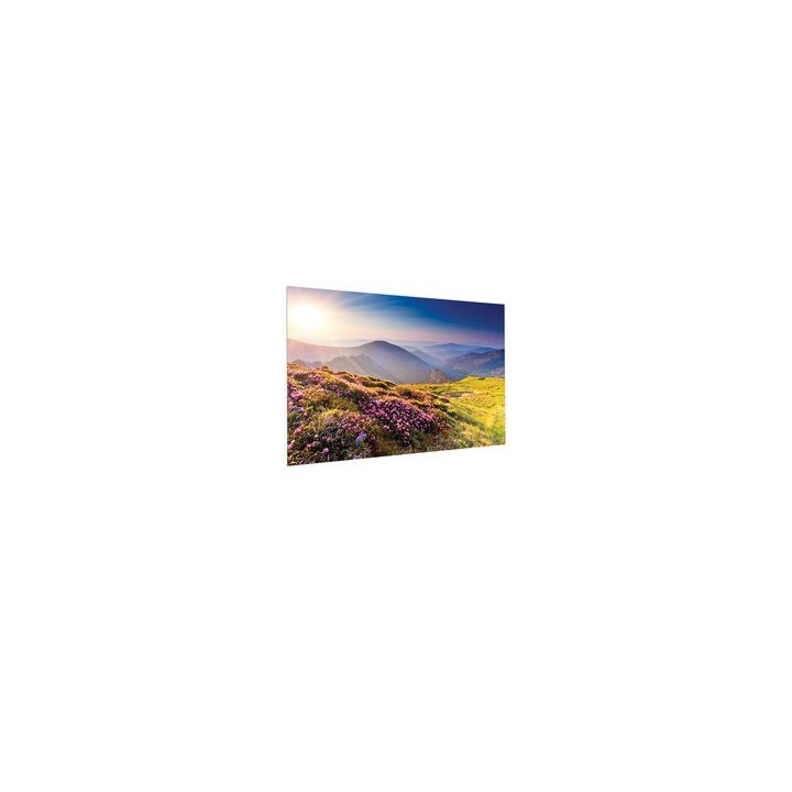 Projecta - Ecran FullVision 16/9 146x260 Blanc Mat Projecta