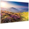 Projecta - Ecran FullVision 16/9 146x260 Blanc Mat Projecta