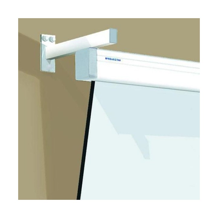 Projecta - Accessoire de montage : Kit d'extension 75 cm. Projecta