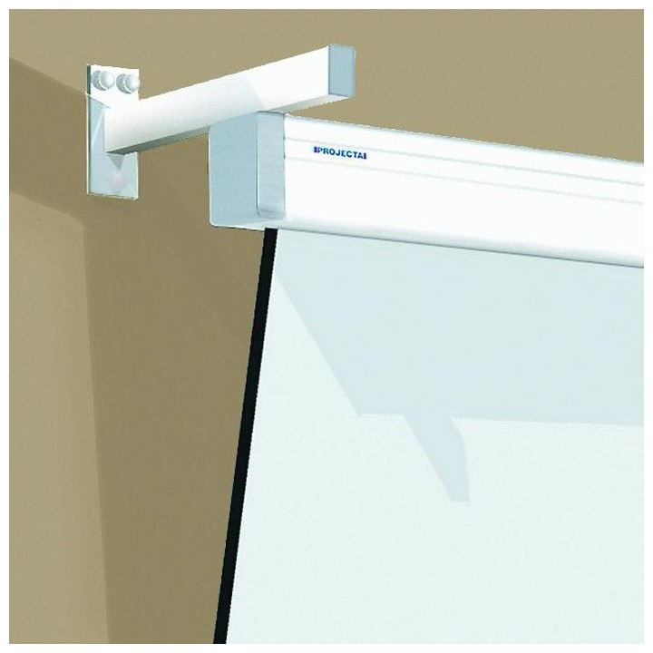 Projecta - Accessoire de montage : Kit d'extension 30 cm. Projecta