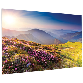 Projecta - Ecran FullVision 219x350 Blanc mat Projecta