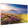 Projecta - Ecran FullVision 219x350 Blanc mat Projecta