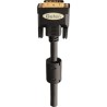 Cordon DVI Gefen CAB-DVIC-DLBN-03MM | Dual Link | 1 m Noir
