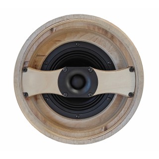 Hortus - Enceinte Satellite 120W AES 1 x 5.5p+ Tweeter Hortus