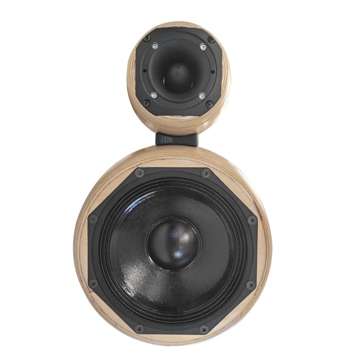 Hortus - Enceinte Satellite Amplifiée + DSP 8p 200W AES + Tweeter 25W Hortus