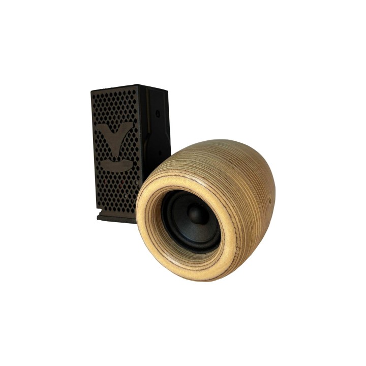 Hortus - Enceinte Satellite HP 2p + Récepteur DECT + DSP + Ampli 15W Hortus