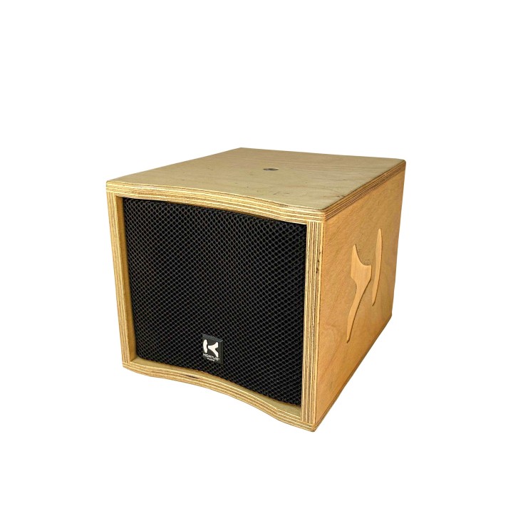 Hortus - Enceinte Satellite HP 5p + Récepteur DECT + DSP + Ampli 40W Hortus