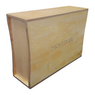 Hortus - Caisson de Basse 8p + Récepteur DECT + DSP + Ampli 280W Hortus