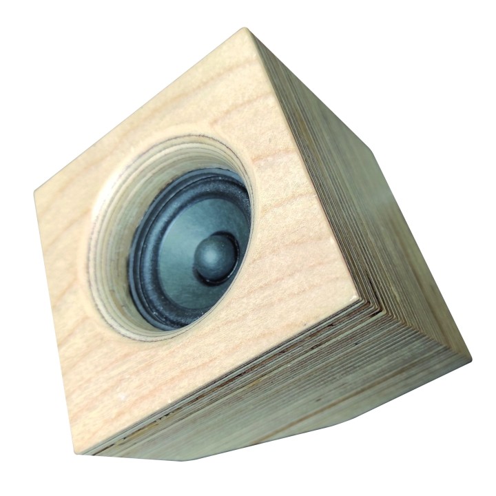 Hortus - Enceinte Mirage 2p cubique 10W AES - 16 Ohms Hortus