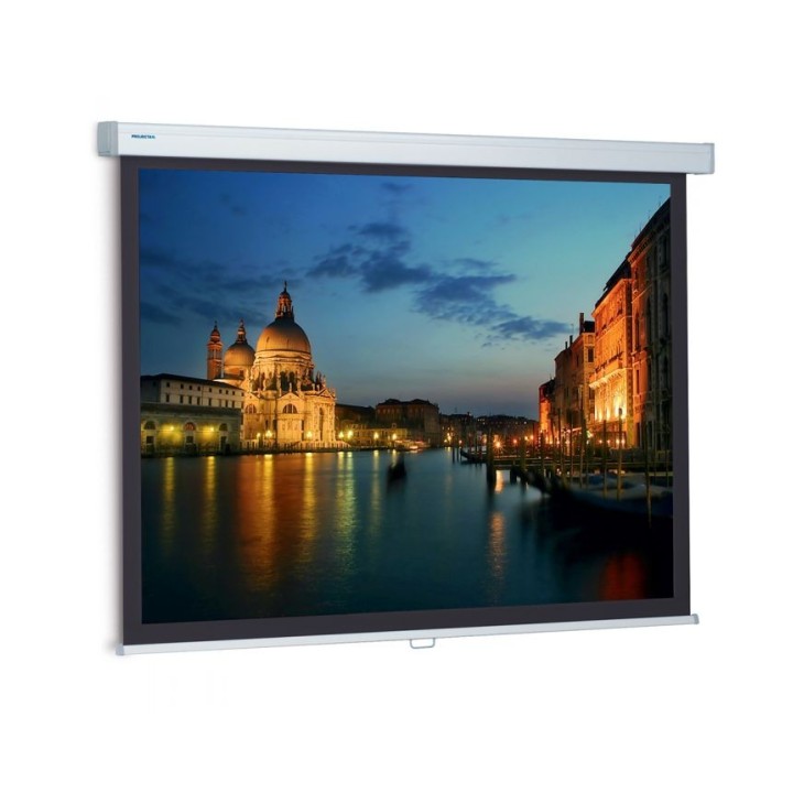 Écran Projecta PRO-10241062 | 119x190 | Blanc mat