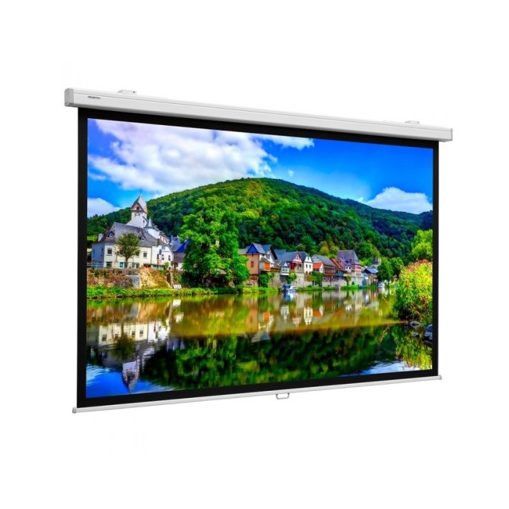 Écran ProScreen Projecta PRO-10200234 | 119x190 | Blanc mat