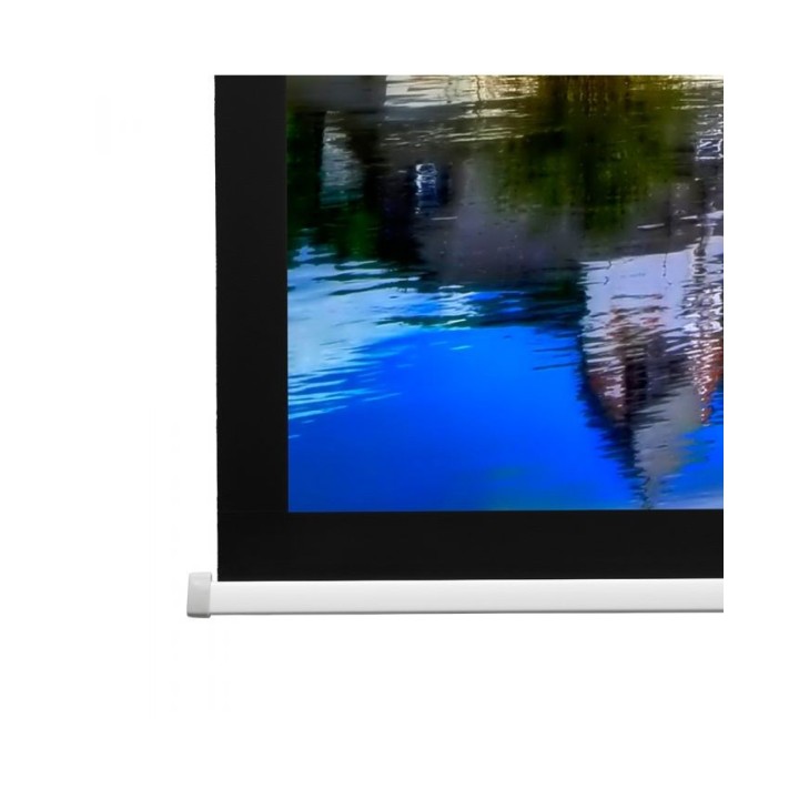 Écran ProScreen Projecta PRO-10200234 | 119x190 | Blanc mat