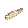 Fiche RCA femelle dorée blanche Ø 6mm Keen connect