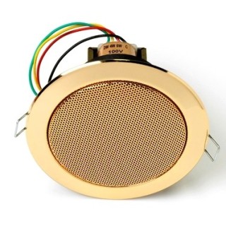 Haut-parleur plafond (spot) métal or - 6/4/2 W/100 V Rondson