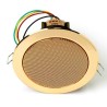 Haut-parleur plafond (spot) métal or - 6/4/2 W/100 V Rondson