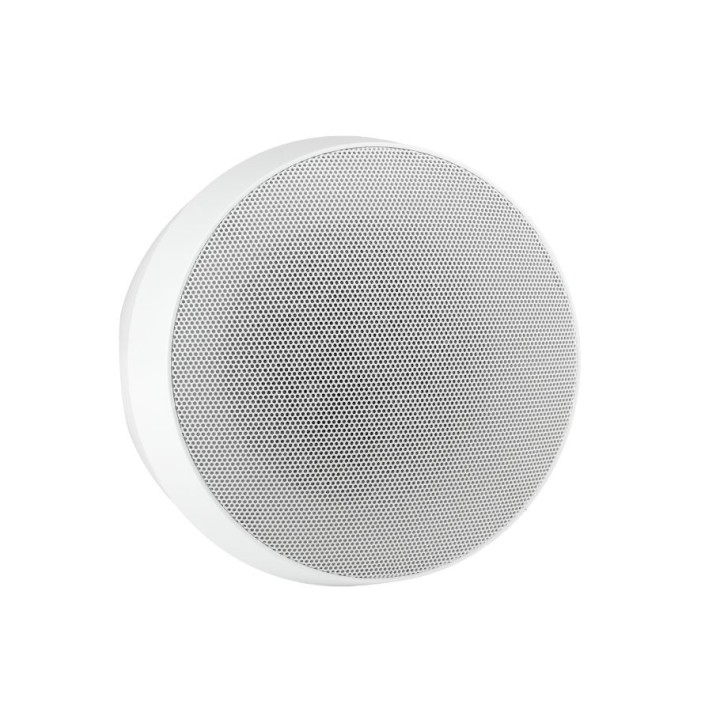 Enceinte ovoïde blanche 30W/8 Ohms, 30/15/7,5/3,75W/100 V + câble Rondson