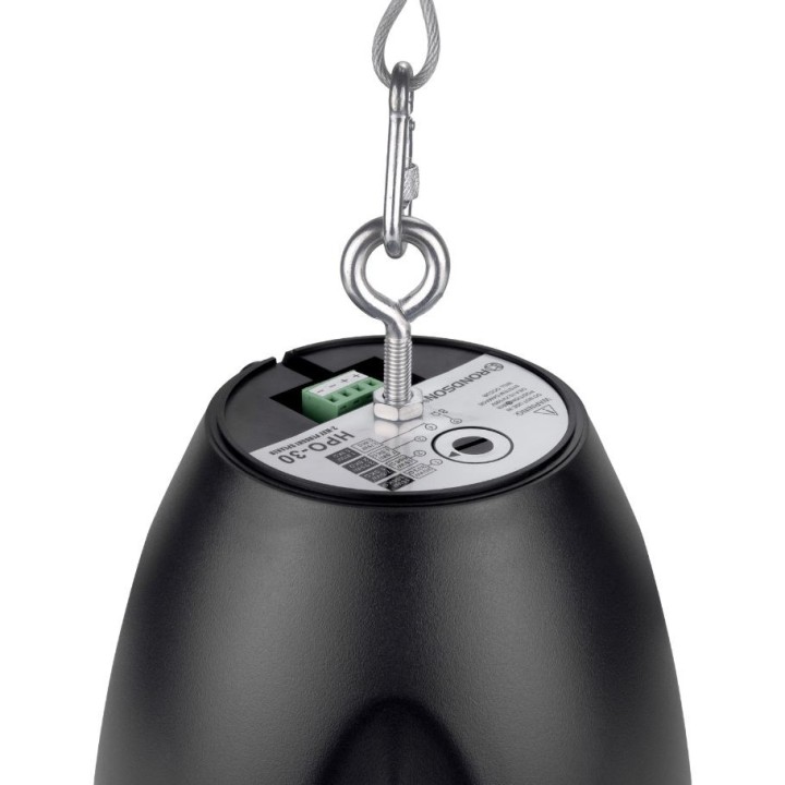 Enceinte ovoïde noire 30W/8 Ohms, 30/15/7,5/3,75W/100 V + câble Rondson