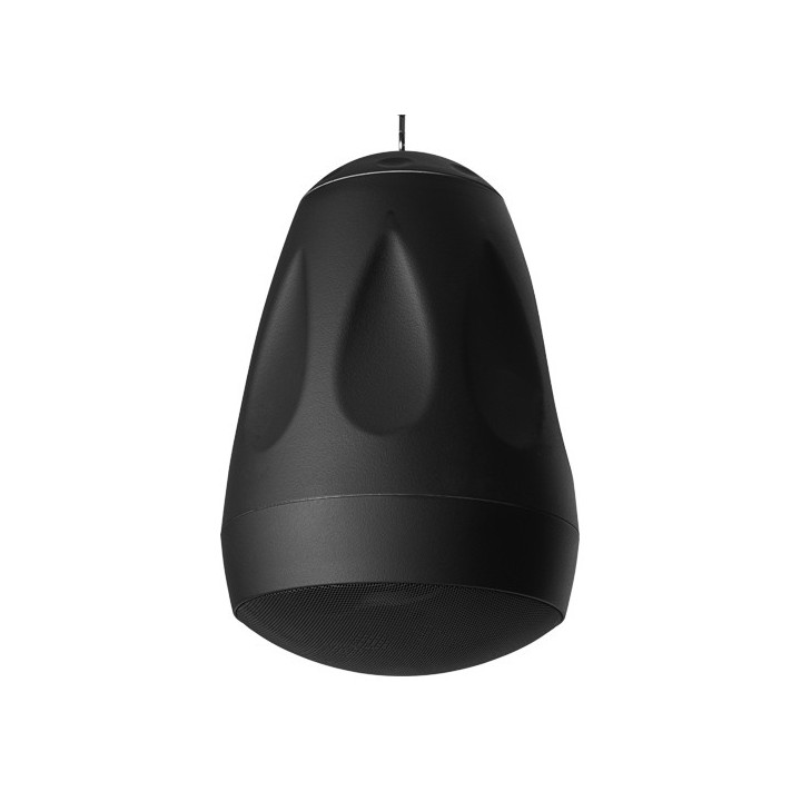 Enceinte ovoïde noire 50W/8Ohms, 50/25/12,5/6,25W/100 V, câble+fixat Rondson