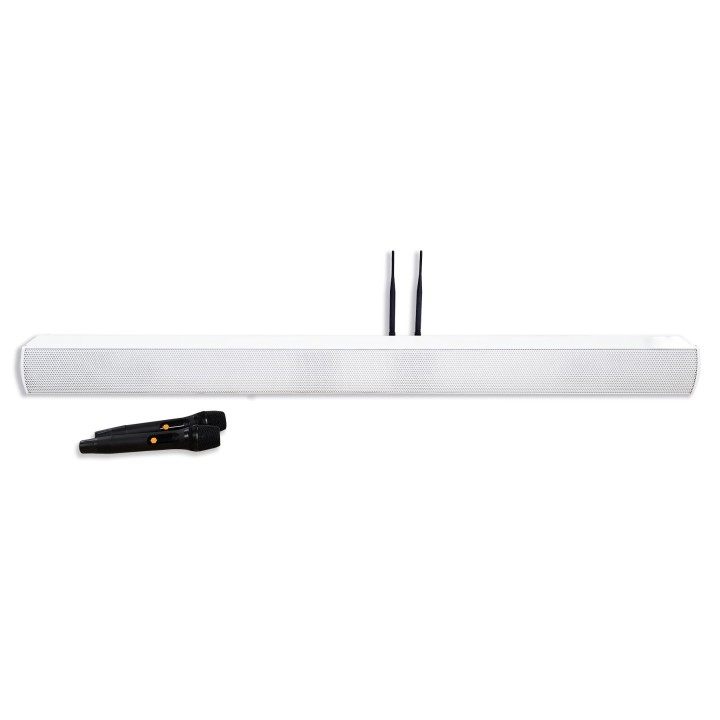 Colonne barre de son amplifiée 240W avec 2 micros main - Bluetooth Rondson