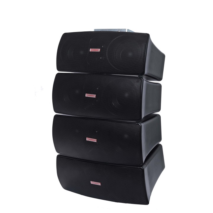 Enceinte 2 voies bass réflex line array noire 60 W/70V/100V Rondson