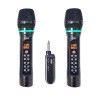 Double micro HF avec récepteur Bluetooth indépendant Rondson