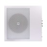 Caisson subwoofer actif class D de 120W (300W Max) + appli murale Rondson