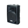 Enceinte active 250 W RMS avec port USB & TC - 115V/230V Rondson