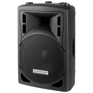 Enceinte de puissance 2 voies bass-réflex100V IP66 Rondson