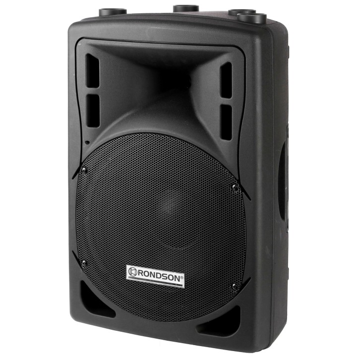 Enceinte de puissance 2 voies bass-réflex100V IP66 Rondson