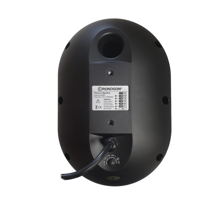 Enceinte murale ovale Rondson RNS-PLS-30WPN | noire IP55 | 100V 30W Rondson
