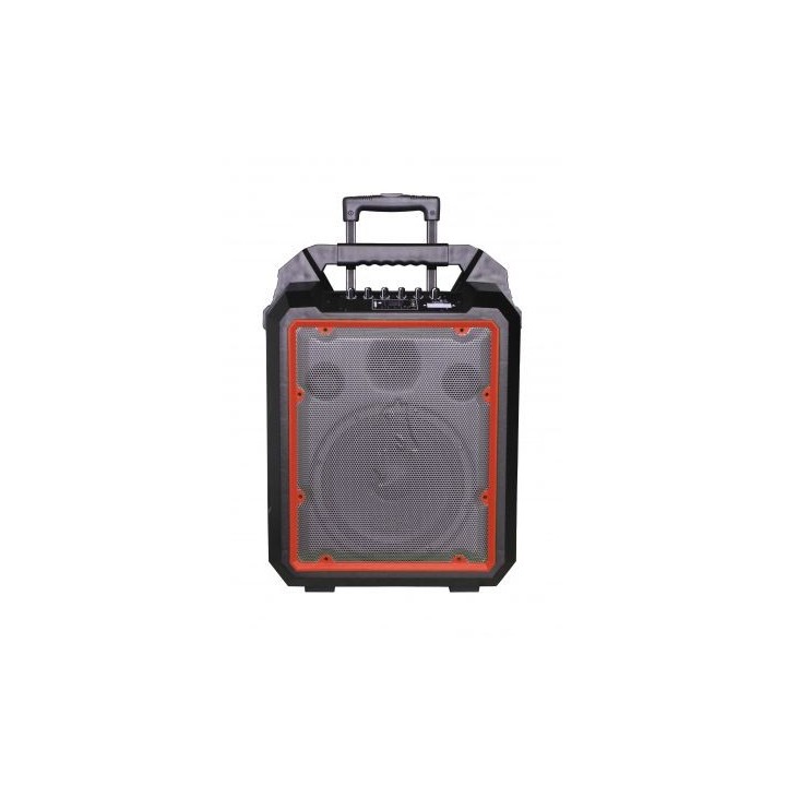Enceinte amplifiée Rondson RNS-RUNNER10R | 100W | Bluetooth + 2 micros UHF Rondson