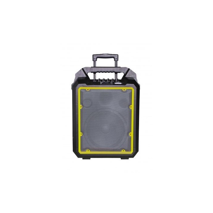 Enceinte amplifiée Rondson RNS-RUNNER10R | 100W | Bluetooth + 2 micros UHF Rondson