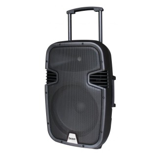 Enceinte amplifiée Rondson RNS-RUNNER15 | 130 W | Bluetooth USB/SD MP3 | 2 micros UHF batterie Rondson