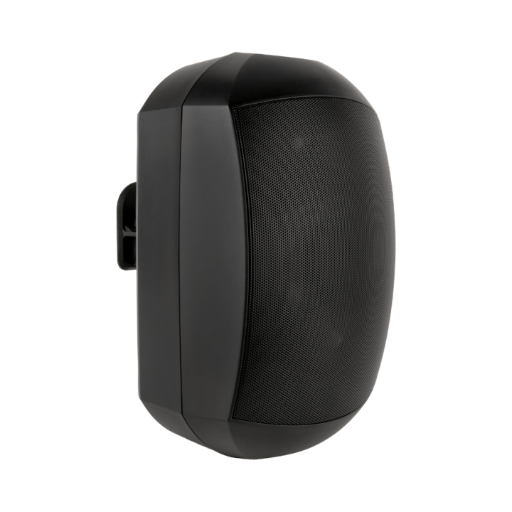 Enceinte murale Rondson RNS-PLS-60WPN | noire | 100V | IP66 | 60/30/15/7,5W