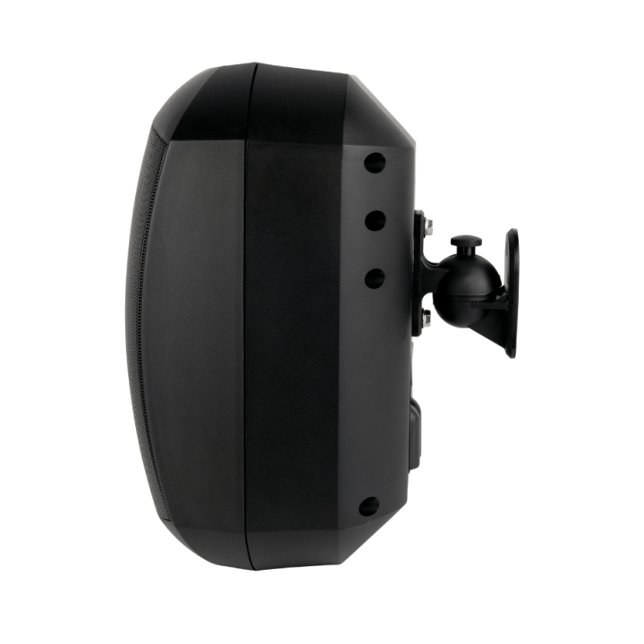 Enceinte murale Rondson RNS-PLS-60WPN | noire | 100V | IP66 | 60/30/15/7,5W