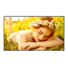 Écran de réunion LG 32UL5Q-E | 32" UHD | 350 cd/m² 16/7 LG