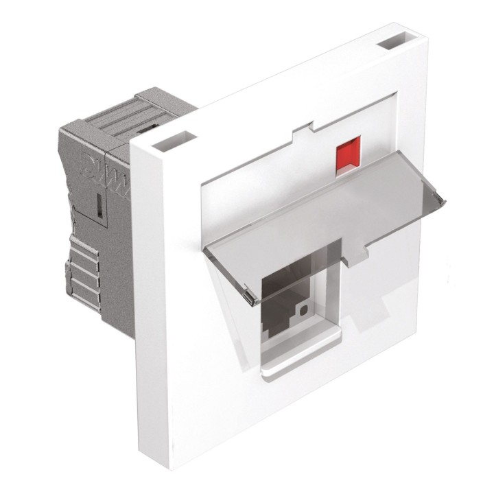 Plastron pour 1 RJ45 vide norme 45 X 45 S2CEB