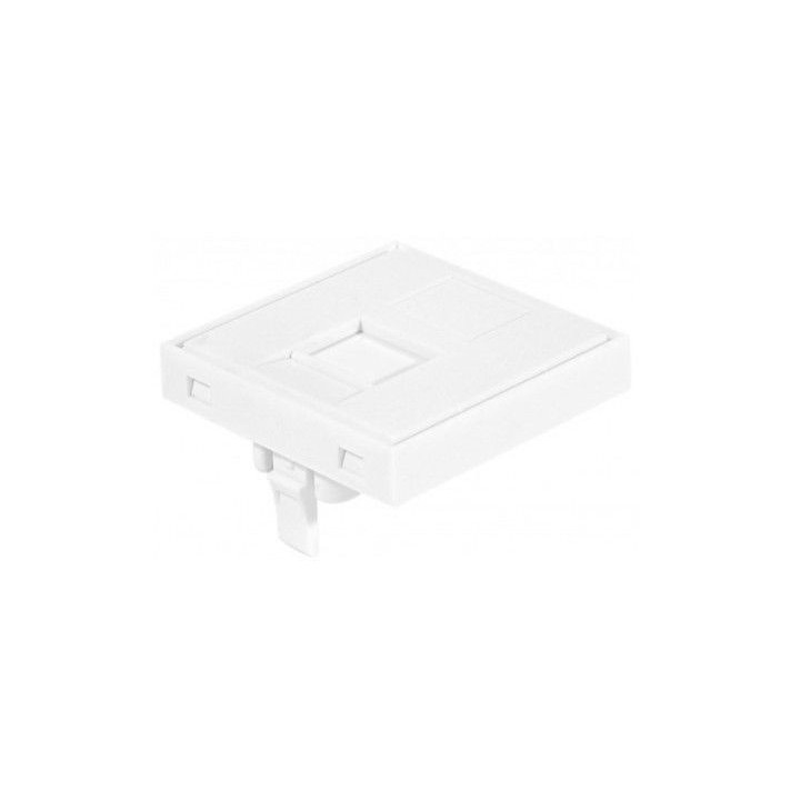 Plastron pour 1 RJ45 vide norme 45 X 45 S2CEB